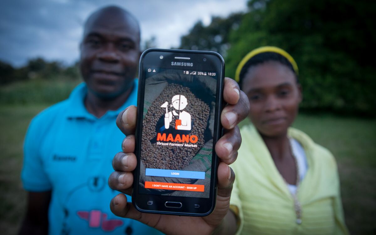 Ebay gegen den Hunger - eine App hilft Kleinbauern in Sambia, ihre Ernten zu verkaufen