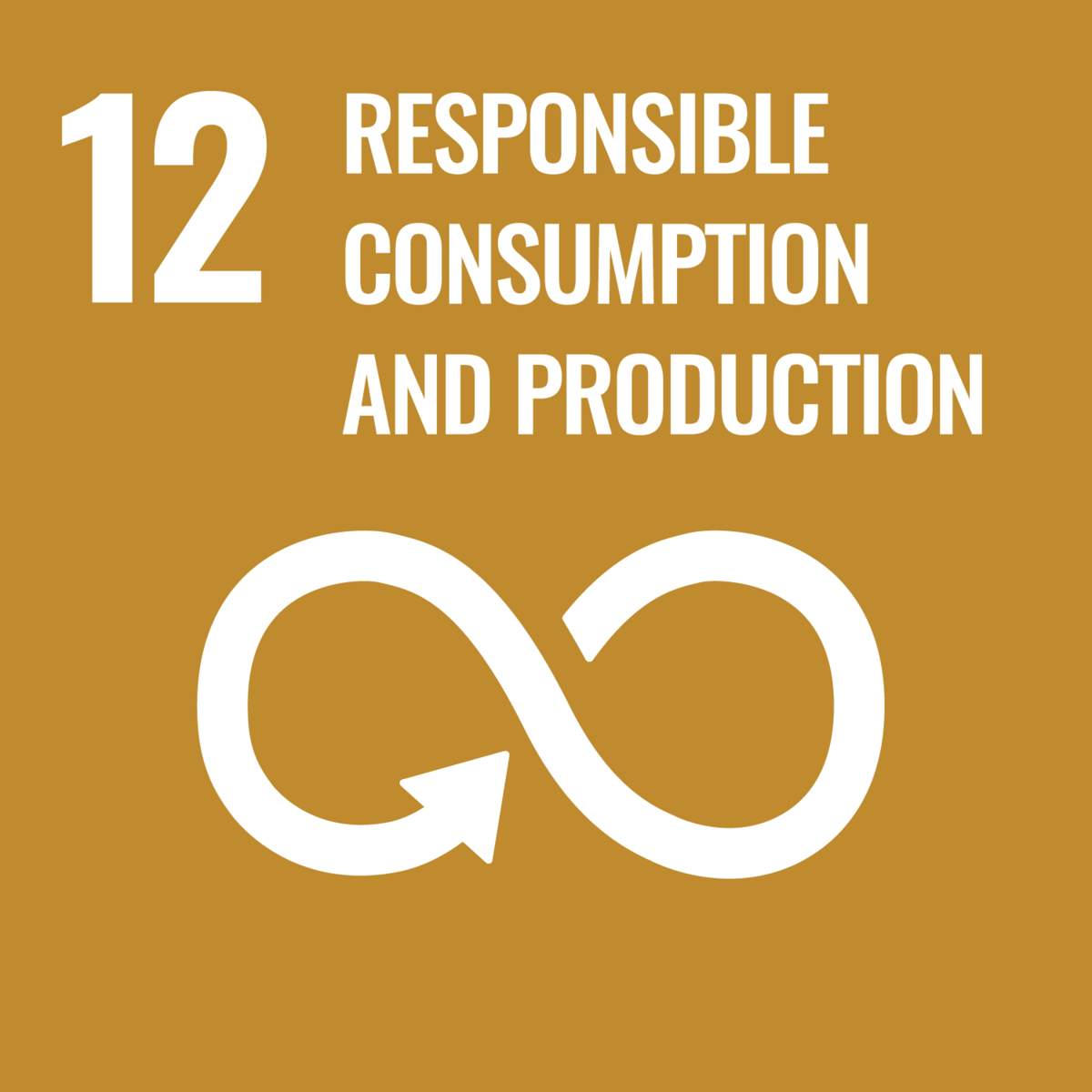 Ms von Reden, does SDG12 mean renouncing consumption?