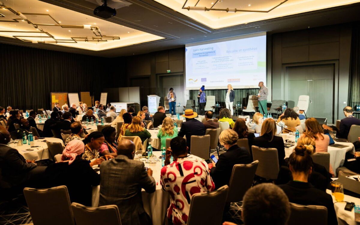 The Delegations on the P4C SOILutions Conference 2025 ©Photothek