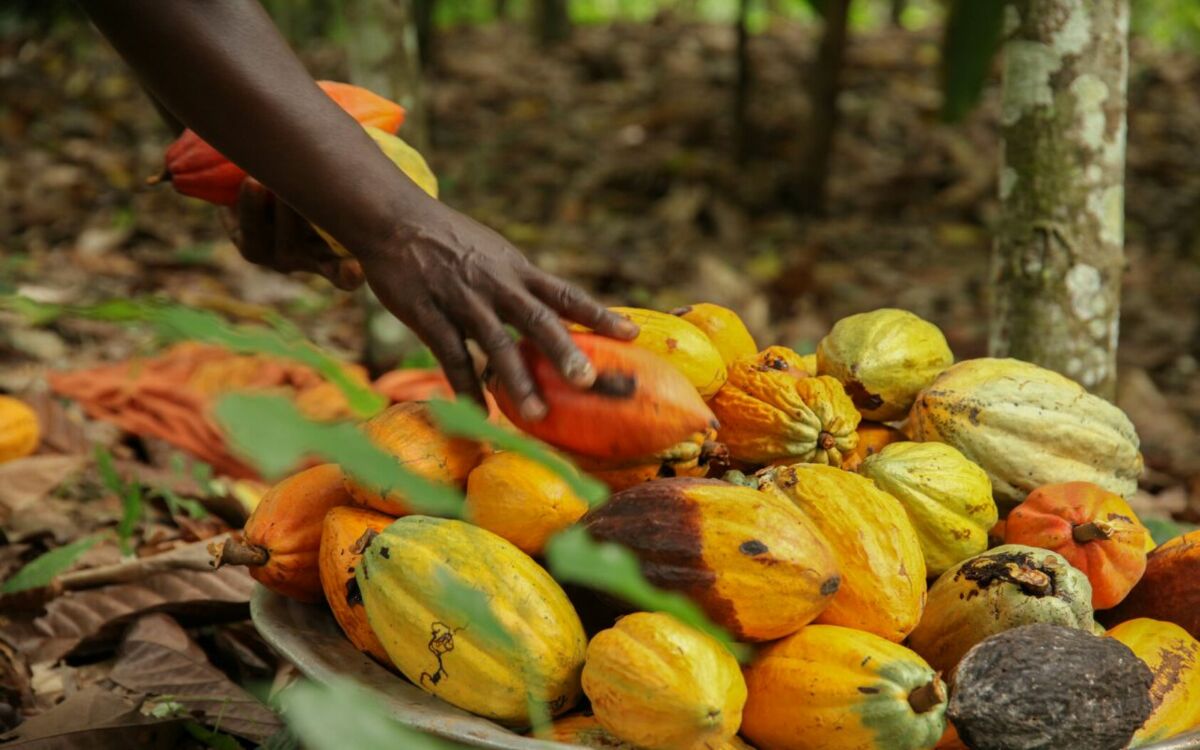 Côte d’Ivoire: Zukunft fängt beim Essen an
