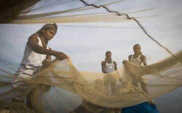 Die befragten Menschen möchten sich aktiver an Food-Governance-Prozessen beteiligen. (c) SLE