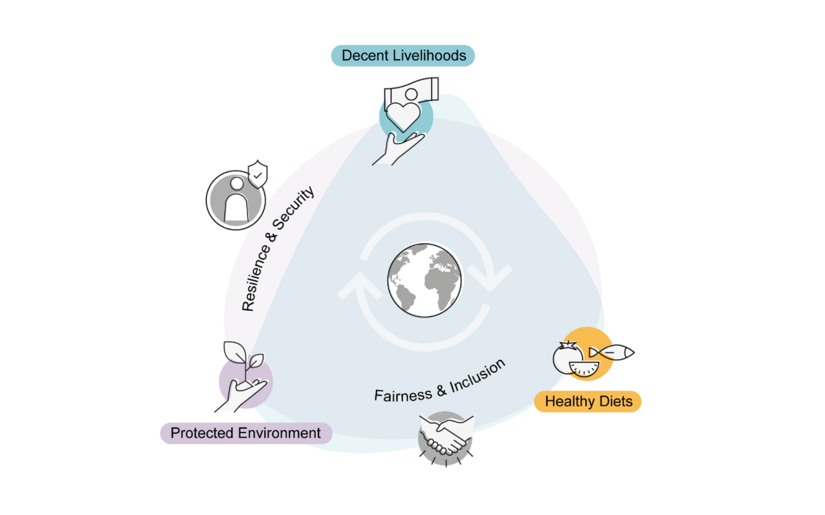 A framework for sustainable and fair agriculture and food systems