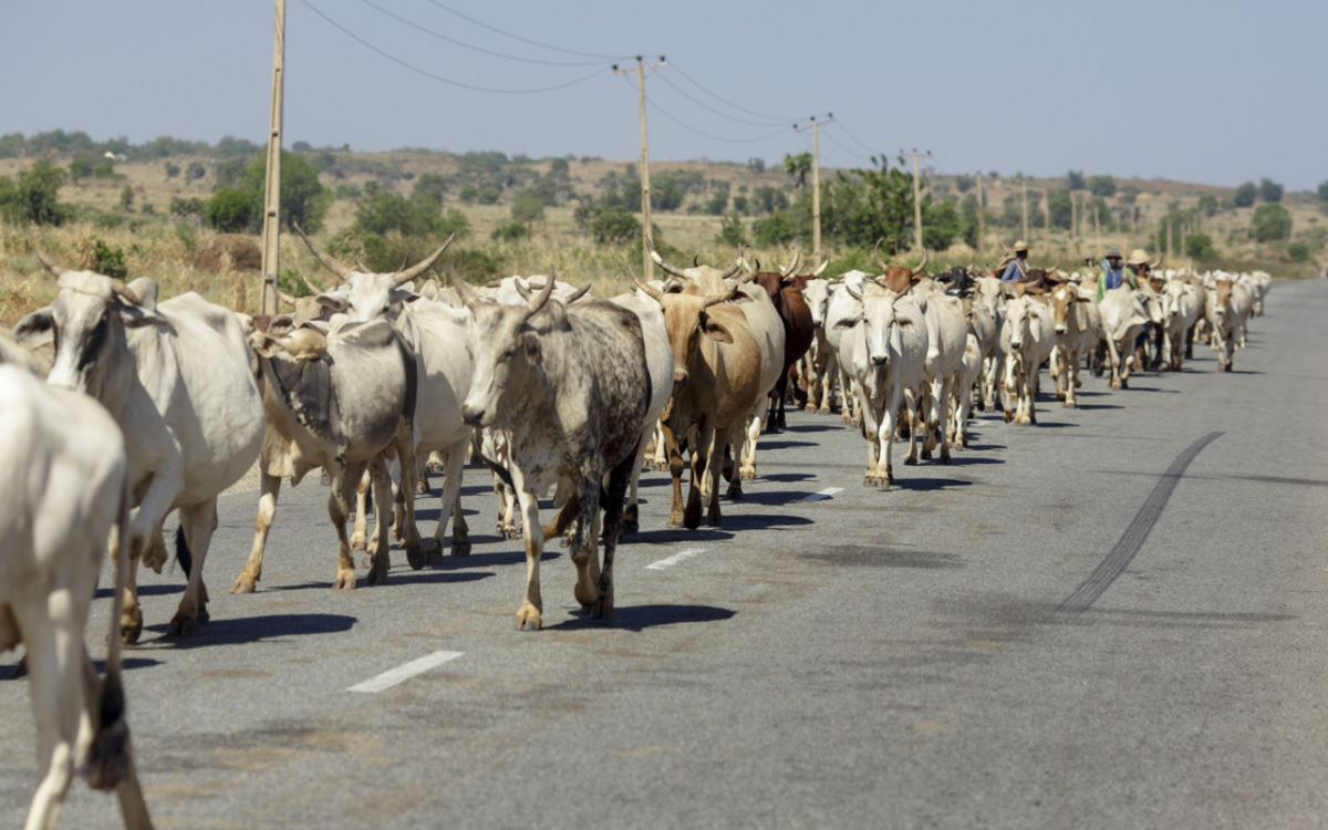 Our Food Systems are in Urgent Need of Crisis-Proofing:  what needs to be done