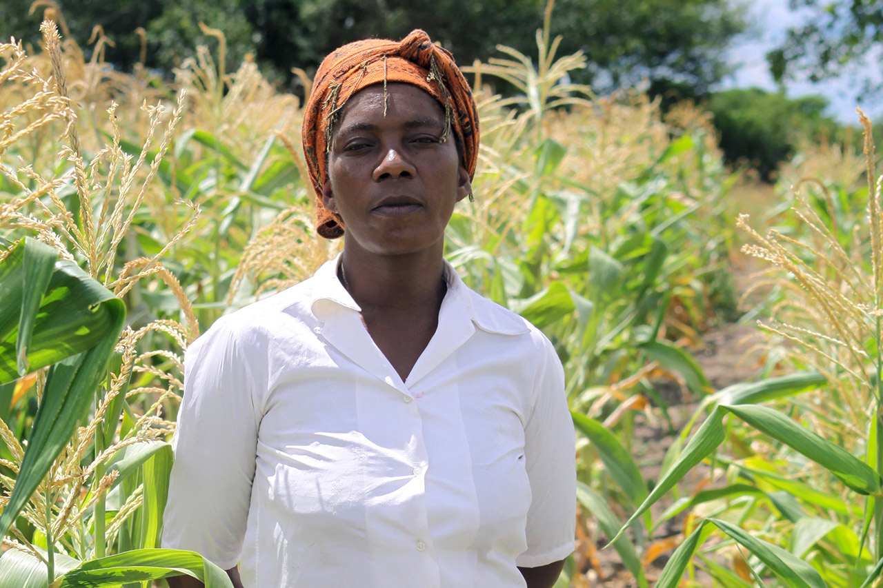 Sambia: Bäuerin in ihrem Maisfeld in verbesserter, klimaangepasster Anbauweise. Photo: WWF Germany