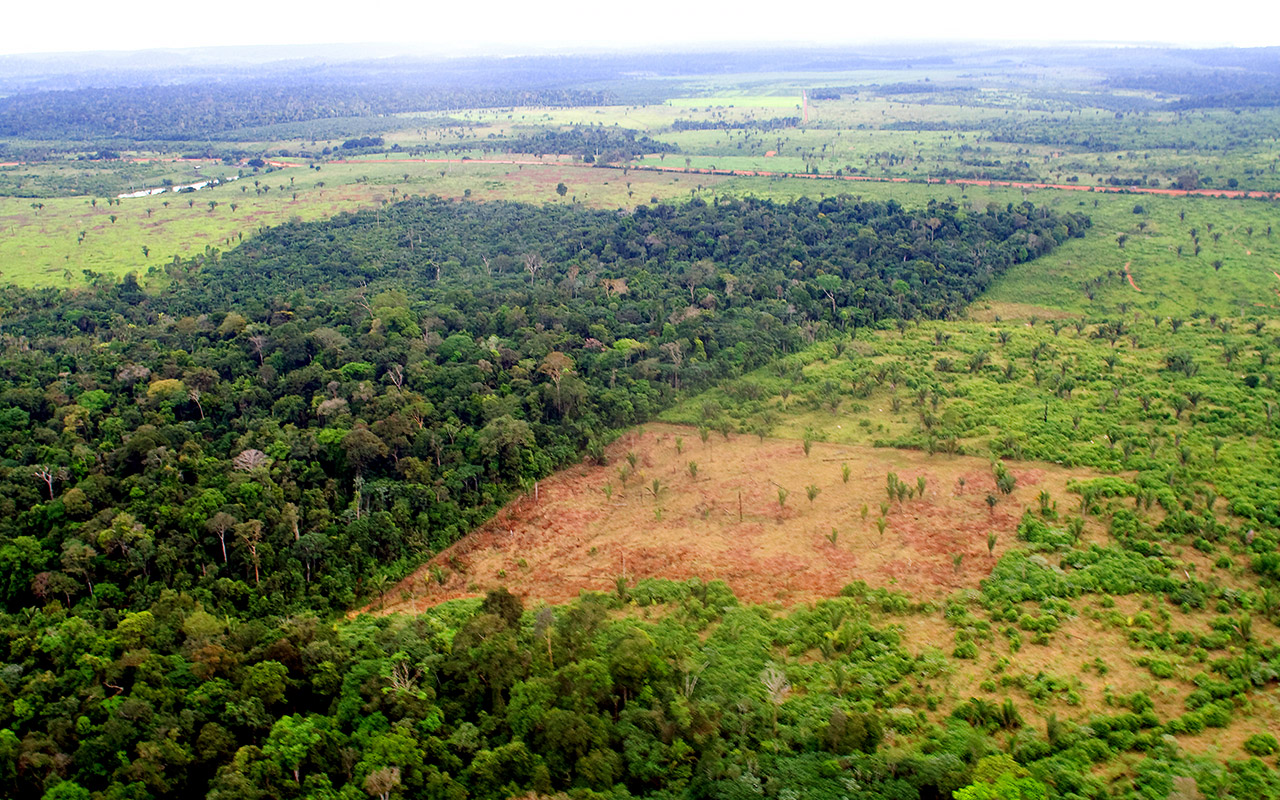 WWF Brasilien